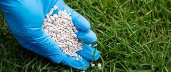 Granular fertilizer in a gloved hand