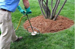 Lawn care and landscaping